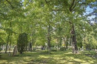 Invalidenfriedhof, Scharnhorststraße, Mitte, Berlin, Germany, Europe