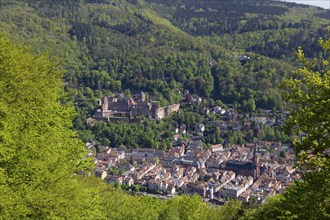 Blick auf das Heidelberger Schloss vom Heiligenberg auf der gegenüberliegenden Seite des Neckars