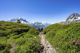 Mountaineer on hiking trail, mountain panorama with glaciated mountain peaks, Aiguille Verte with