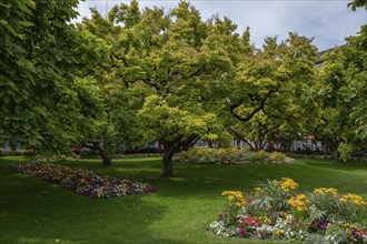 Kaisergärtchen a park with magnolia trees and flower beds in front of the Würzburg railway station