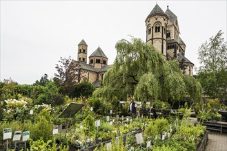 Romanesque monastery church, Benedictine Abbey Maria Laach, Eifel, Rhineland-Palatinate, Germany,