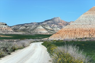 Gravel path winds through green meadows and rocks with mountains in the background, Bardenas Reales