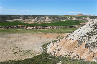 Wide valley with green meadows and dry rocks under a clear sky, Bardenas Reales Natural Park,