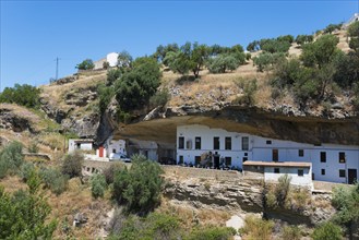 White house under a rock on a sunny hill with trees, restaurant, cave dwellings, Setenil de las