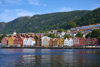 A picturesque town by the water with colourful traditional houses and green mountains in the