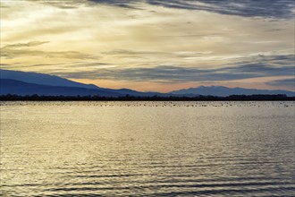 Lake Kerkini, Lake Kerkini, morning mood, silhouette, Central Macedonia, Greece, Europe