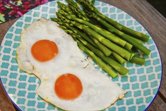 South German cuisine, green asparagus with fried egg, plate, vegetables, healthy, savoury, food