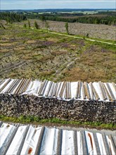 Large tree stacks, Cleared forest in the Eggegebirge, near Lichtenau, Paderborn district, site of a