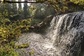 Grugapark, Essen, botanical garden, park for leisure and recreation, alpine garden, waterfall,