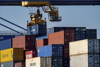 Container loading, gantry cranes in the Container Handling Centre, Trimodal Container Terminal, in