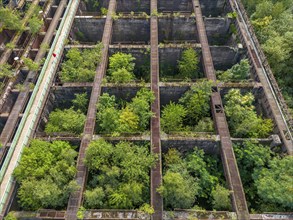 Duisburg-Nord Landscape Park, former Thyssen steelworks, closed in 1985, since then trees have been