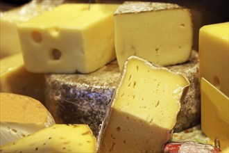 Cheese counter with a variety of different cheeses