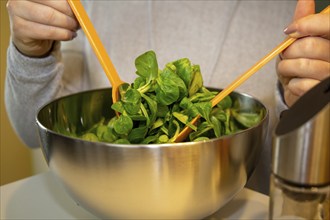 Vegan cooking: Preparation of lamb's lettuce