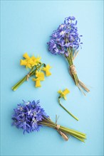 Spring snowdrop flowers bluebells, narcissus on blue pastel background. top view, flat lay, close