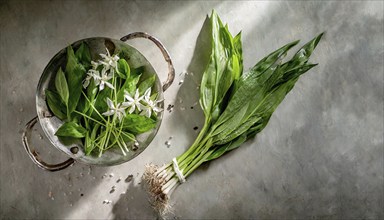 Green leaves in a bowl and white flowers next to bundled plants on a concrete table, wild garlic,