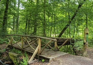 Landscape at Hellsee in Lanke, Bernau, Brandenburg, Germany, Europe