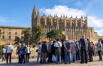 Palma de Majorca, Bay of Palma, the Cathedral of St Mary, group of tourists, from a cruise ship,