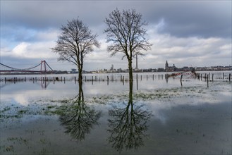 Flood on the Rhine, flooded Rhine meadows, fields, Rhine bridge Emmerich, road bridge of the B220,