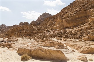 White canyon with yellow rocks, sunny day. Egypt, desert, the Sinai Peninsula, Nuweiba, Dahab