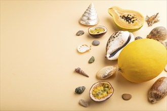 Ripe cut papaya, passion fruit, melon, seashells, pebbles on orange pastel background. Side view,