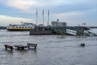 Flood on the Rhine, flooded banks of the Rhine, old ferry landing stage, Rhine meadows, near