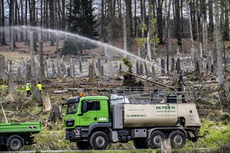 Spraying of a cleared forest area on which spruce trees infested by the bark beetle have died, thus