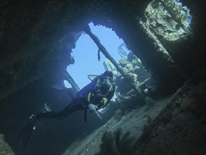 Diver in the wreck of the Giannis D., Red Sea, Egypt, Africa