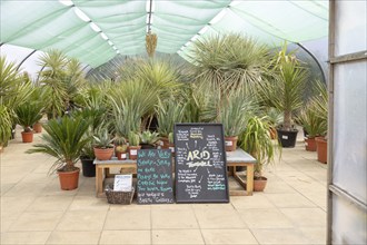 Urban Jungle plant nursery and cafe, Beccles, Suffolk, England, UK, Arid Tunnel