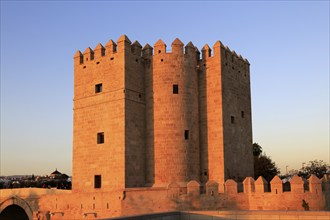 Torre de la Calahorra medieval tower and Roman bridge, Cordoba, Spain, Europe