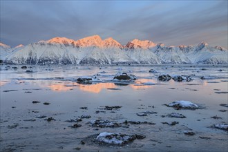 Morning light, mountains, snowy, reflection, sea, coast, fjord, winter, Lyngen Alps, Norway, Europe