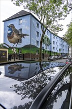 Residential buildings on Feldsieper Straße in Bochum, after an energy-efficient refurbishment, with