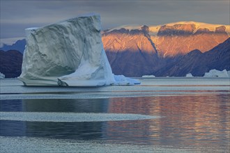 Large icebergs in fjord off Bergen, evening light, Scoresby Sound, East Greenland, Greenland, North