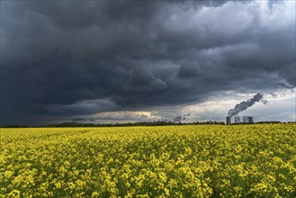 Neurath lignite-fired power station, near Grevenbroich, RWE Power AG, storm clouds over the Rhenish