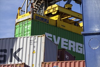 11 April 2024, Mannheim: A container from the Evergreen container shipping company is loaded in the