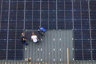 Installation of solar modules on the roof of a barn on a farm, over 210 photovoltaic modules are