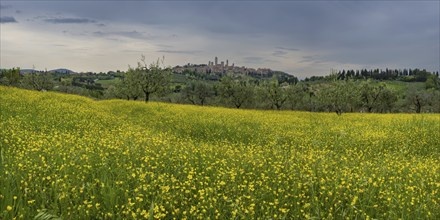 San Gimignano, Tuscany, Italy, Europe