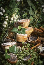 Fresh biscuits sprinkled with icing sugar, surrounded by green leaves and flowers, dried orange