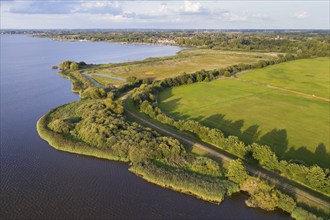 Aerial view of Lake Dümmer, nature reserve, reeds, shore, Ochsenmoor, Hüde, Lower Saxony, Germany,