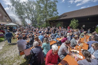 Baking oven festival in a village in Middle Franconia, Bavaria, Germany, Europe