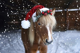 Cute small pony with red Santa Christmas hat in snow. Generative Ai, AI generated