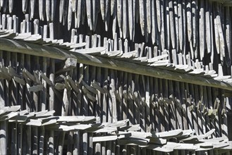 Heinzen on a barn wall, Allgäu, Bavaria, Germany, Europe