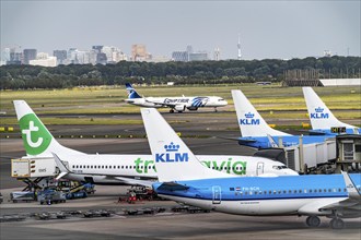 Amsterdam Schiphol Airport, aircraft at terminal, Gate D, check-in, apron, Amsterdam, Netherlands