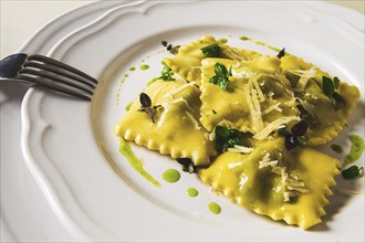 Ravioli with spinach and cheese, green sauce, on a light background, selective focus, no people