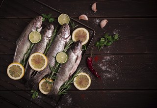 Raw rainbow trout, with lemon and herbs, on a wooden table, no people