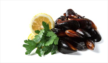 Fresh mussels, on a white background, with parsley and lemon, horizontal, no people