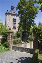 Vollrads Winery and Castle (medieval residential tower), Rheingau, Hesse, Germany, Europe