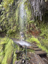 Hiking trail with waterfall on the Levada Nova and Levada do Moinho, Madeira, Portugal, Europe