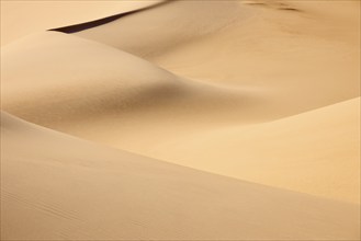 Soft, undulating sand dunes with gentle, natural colours in a desert landscape, Matruh, Great Sand