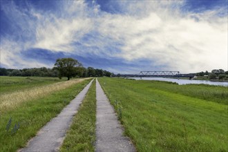 Border area between Germany and Poland, Lower Oder Valley National Park, Brandenburg, Germany,