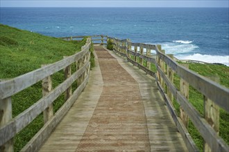 Nature landscape of a trail at The Nobbies on phillip island in spring, Australia, Oceania